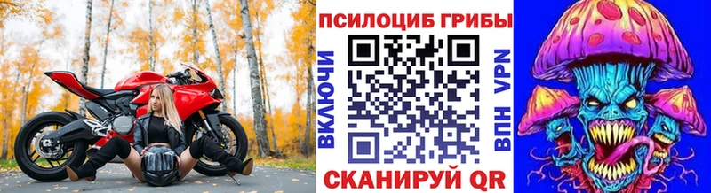 Псилоцибиновые грибы MAGIC MUSHROOMS Новоржев