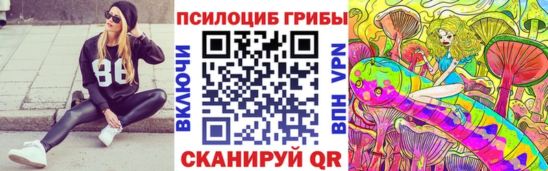 купить закладку Новоржев Псилоцибиновые грибы прущие грибы