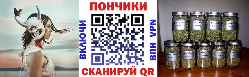 МАРИХУАНА SATIVA & INDICA  купить закладку  Новоржев 